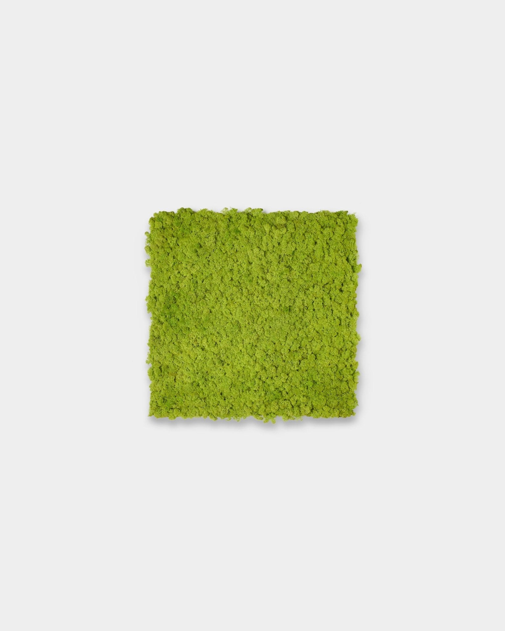 Akupixel Akustikpanel i Apple Green, 60x60 cm, fra WoodUpp vist som en kvadratisk detalje mod en enkel lysegrå baggrund.