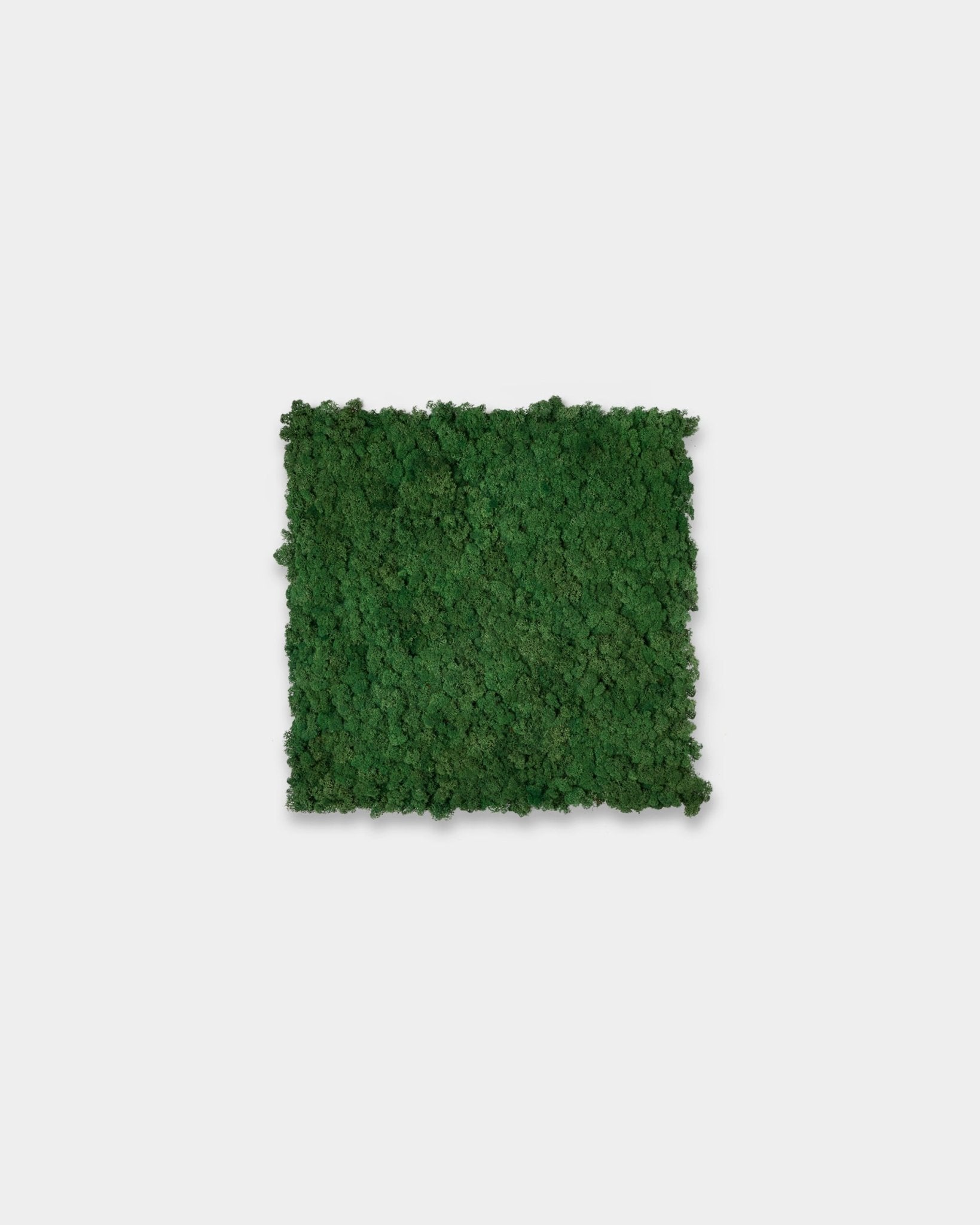 WoodUpp Akupixel Akustikpanel i Moss Green (60x60 cm) med en tekstureret, kvadratisk overflade mod en enkel hvid baggrund.