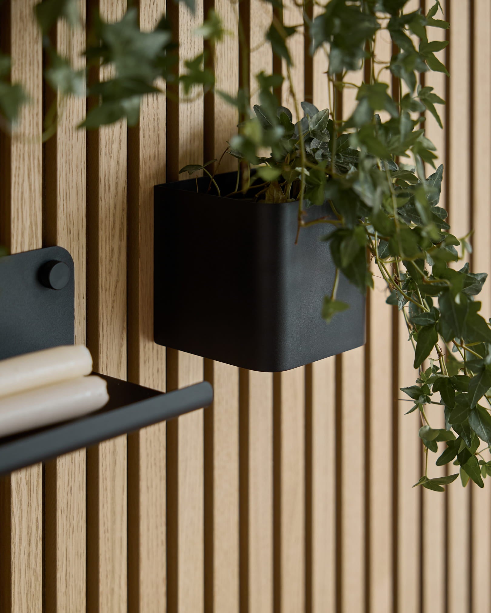 En sort WoodUpp Norr Plant Box på 11,9 cm med grøn efeu hænger på et Akupanel akustikpanel i lyst træ; en del af en matchende hylde med rullede papirer er synlig.