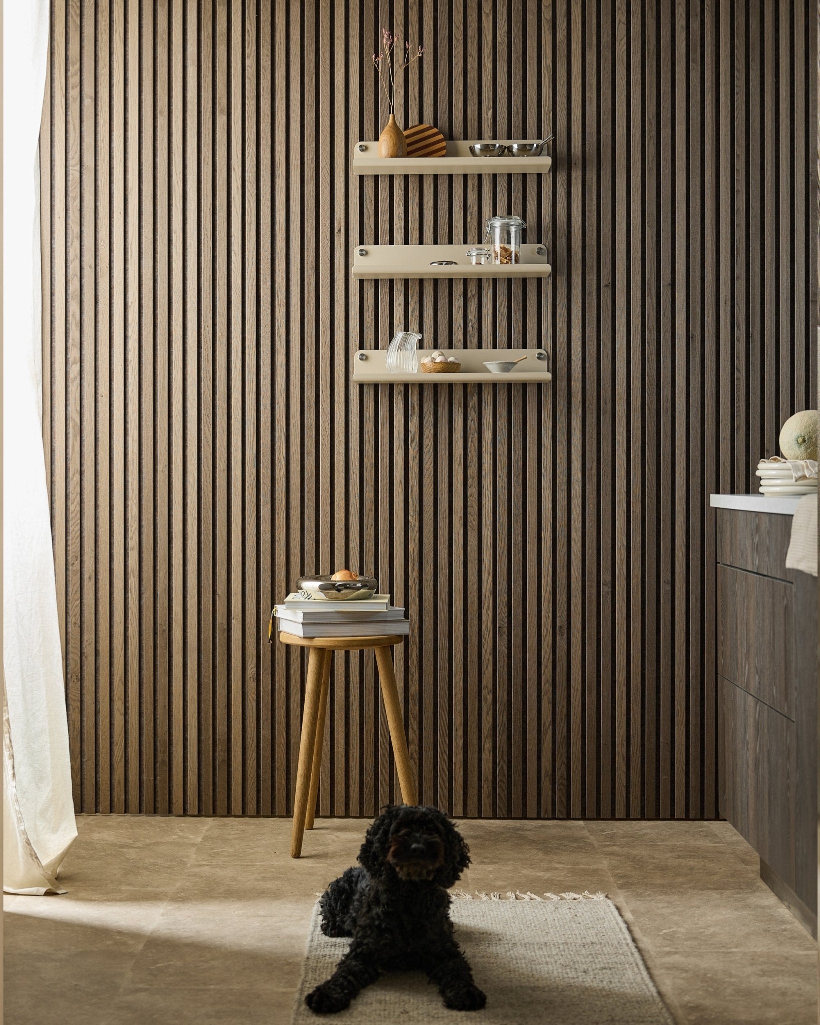 En sort hund ligger på et tæppe i et moderne rum med Akupanel akustikpanelvæg, beige WoodUpp Norr Wide Shelf (51,9 cm), skammel med bøger og blødt lys.