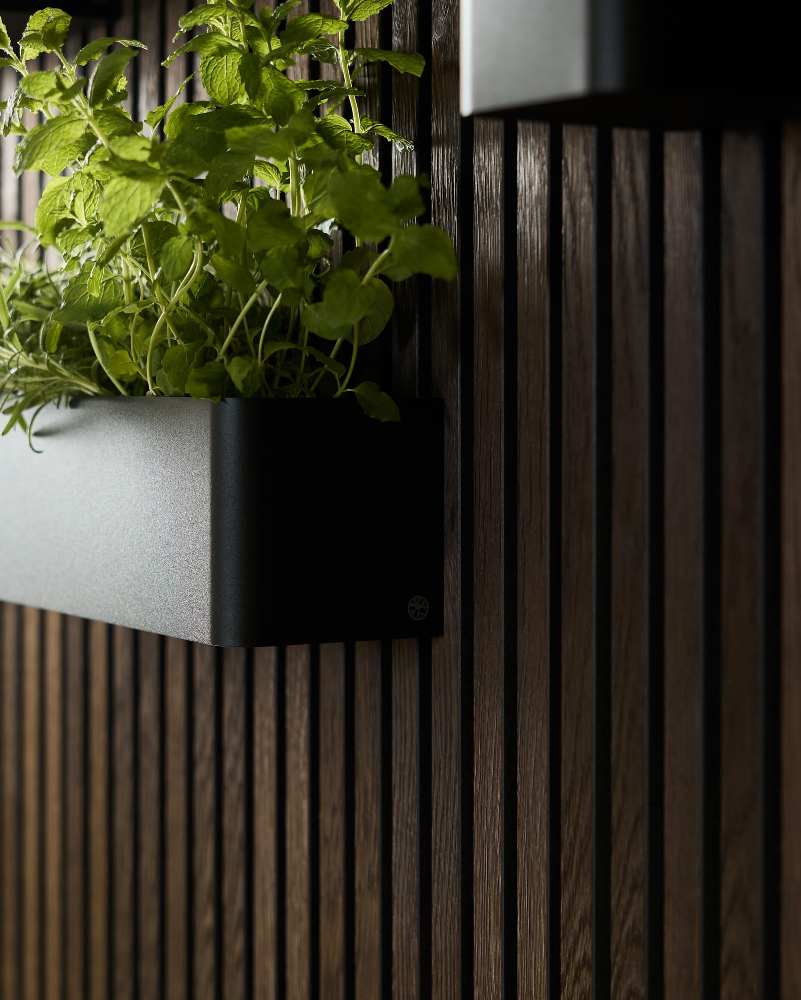 Black WoodUpp Norr Plant Box (47,9 cm) af rustfrit stål, designet til grønne vægge monteret på mørke akustiske trælameller.