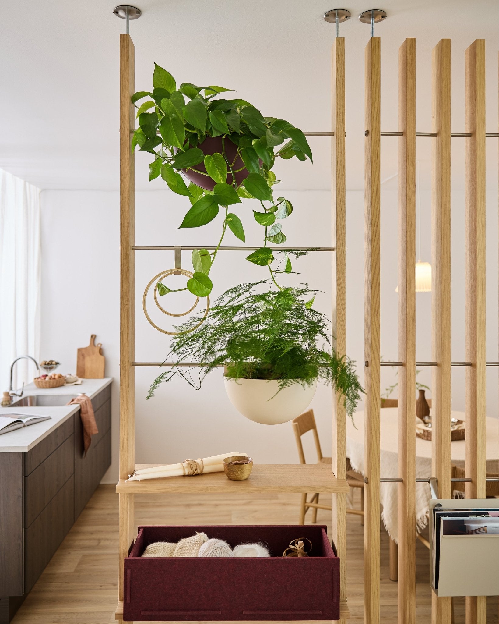 WoodUpp Gro Soft Pocket-rumdeler med BM2 Ox Red-kasse og to hængende planter adskiller køkkenet og spiseområdet i en lys, moderne lejlighed.